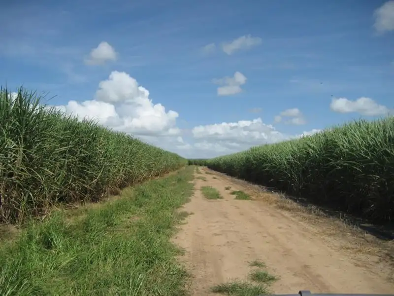 Main view of Homely rural property listing, Address available on request