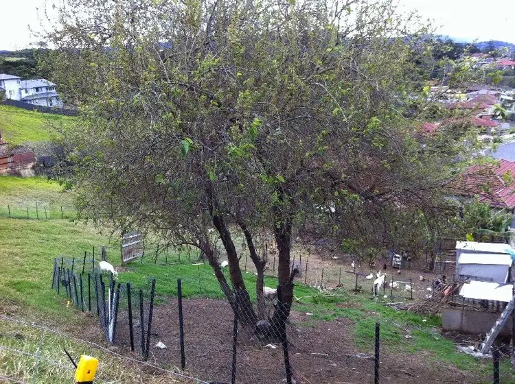 Third view of Homely land listing, 16 and 18 Grattan Street, Cringila NSW 2502