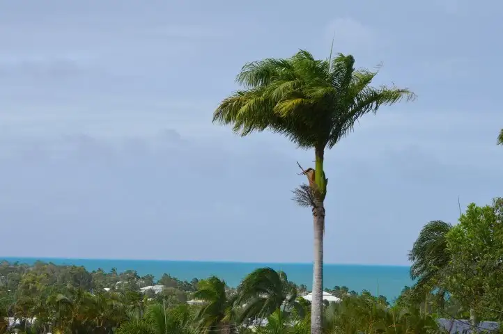 Third view of Homely land listing, Lot 3 Campbell Terrace, South Mission QLD 4852