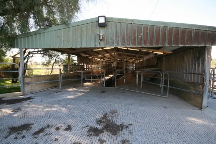 Third view of Homely rural property listing, "Dairy" 492 Bamawm Road, Bamawm VIC 3561