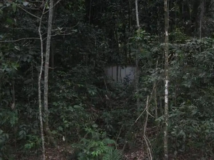 Third view of Homely land listing, Lot 17 Cape Tribulation Road, Daintree QLD 4873
