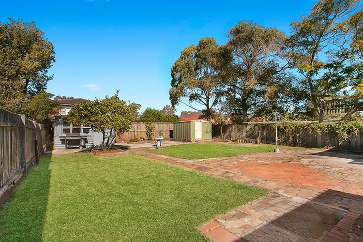 20 Chaleyer Street, Willoughby NSW 2068