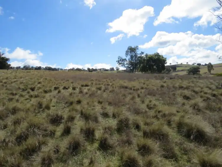 Fourth view of Homely rural property listing, Lot 104 Clements Road, Woodstock NSW 2793