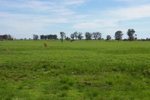 Third view of Homely rural property listing, 0 Texas-Yelarbon Road, Beebo QLD 4385