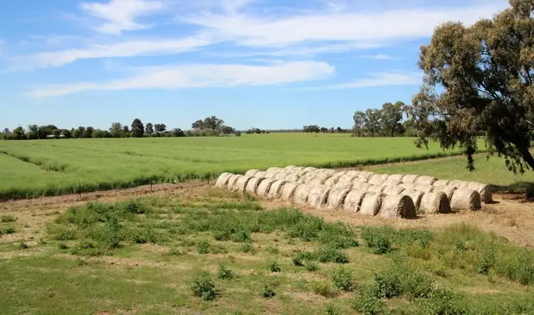 Seventh view of Homely rural property listing, 66 Wrights Road, Bundalong VIC 3730