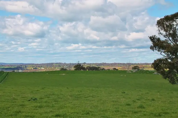 Fourth view of Homely land listing, 605 Spring Creek Road, Young NSW 2594