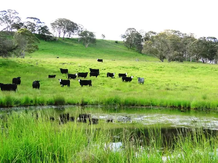 1310 "Old Sherwood" Maybole Road, Ben Lomond NSW 2365