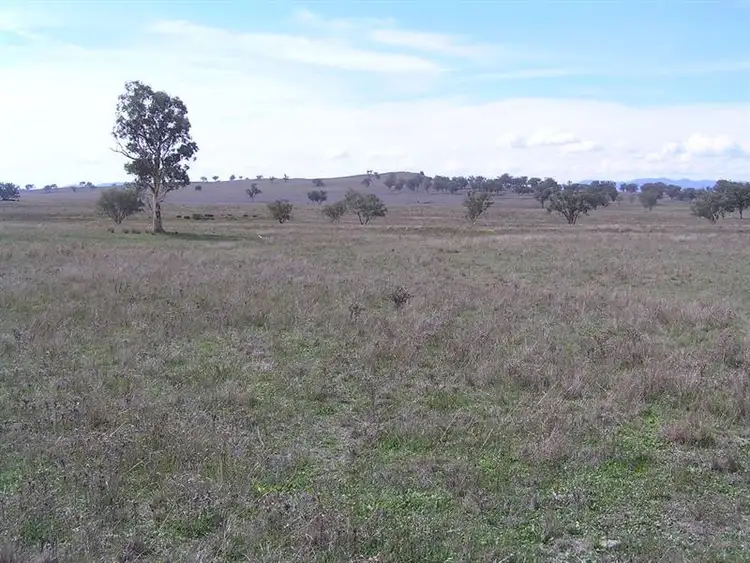 Fifth view of Homely rural property listing, "Ngali Park" 709 Duri - Dungowan Road, Tamworth NSW 2340