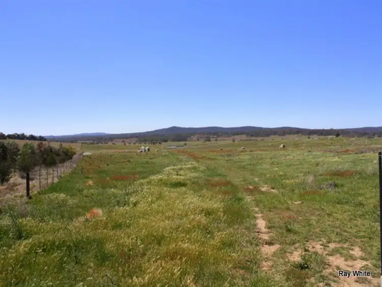 Seventh view of Homely rural property listing, 318 Larbert Road, Braidwood NSW 2622