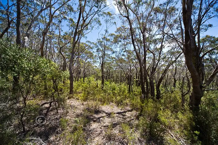 Fifth view of Homely land listing, 59 Delmonte Avenue, Medlow Bath NSW 2780