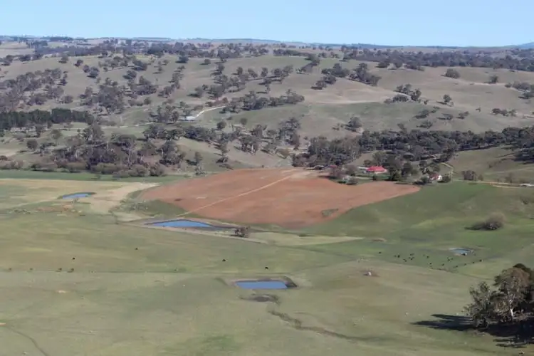 Main view of Homely rural property listing, 2219 Dog Rocks Road, Rockley NSW 2795