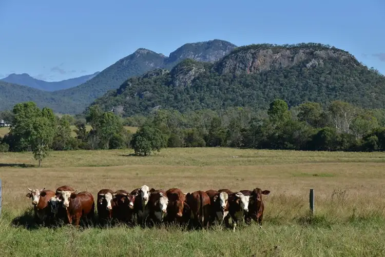 Fourth view of Homely rural property listing, 1746 Boonah-Rathdowney Road, Boonah QLD 4310