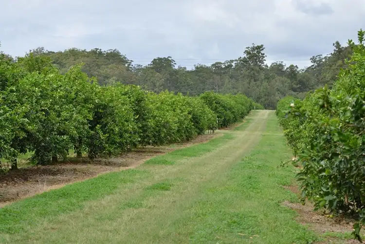 Fifth view of Homely rural property listing, 39 Priddy Road, Kia Ora QLD 4570