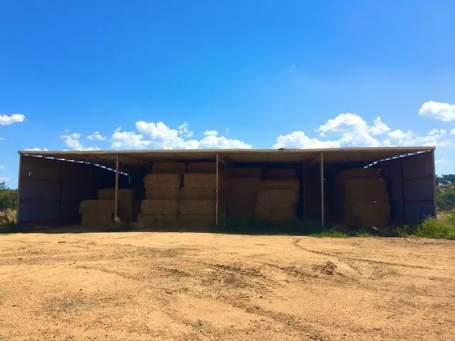 Third view of Homely rural property listing, 160-162 Cultowa Road, Cowra NSW 2794