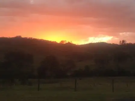 Sixth view of Homely rural property listing, 528 Sandy Creek Road, Josephville QLD 4285
