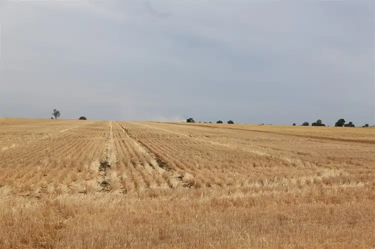 Third view of Homely rural property listing, Matilda Downs Bonnie Doon Road, Capella QLD 4723