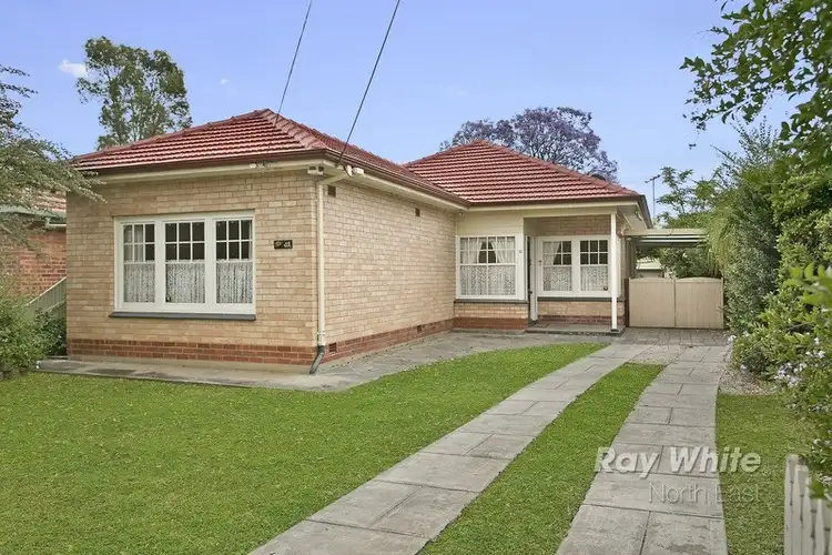 Main view of Homely house listing, 16 Selkirk Avenue, Clearview SA 5085