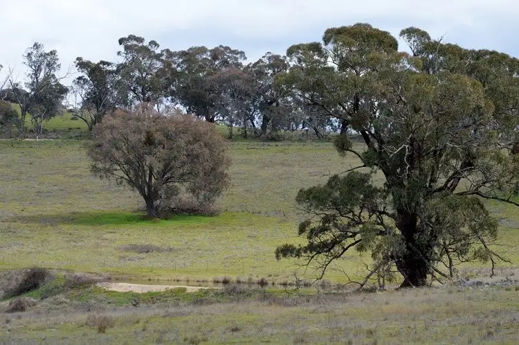 Third view of Homely land listing, Lot 2 Kingfield Road, Woodstock NSW 2793