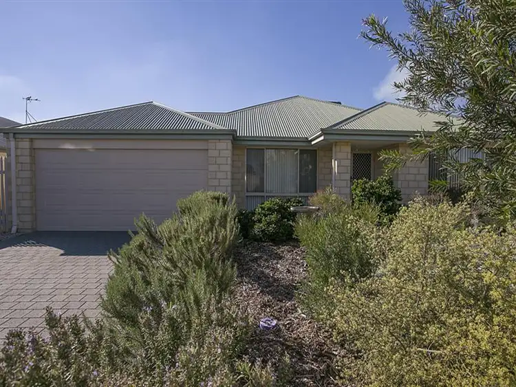 Main view of Homely house listing, 96 Sheffield Road, Wattle Grove WA 6107