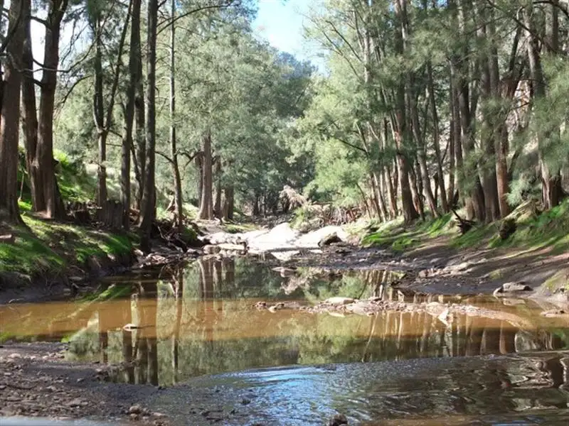 Main view of Homely rural property listing, Lots 2,5,21.. Tea Tree Lane, Blayney NSW 2799