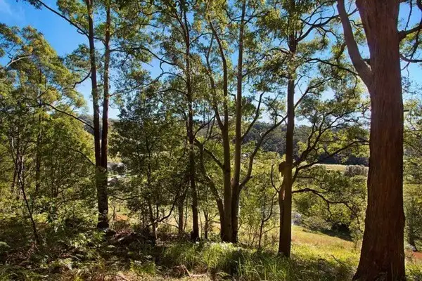 Third view of Homely land listing, 583 Piggabeen Road, Piggabeen NSW 2486