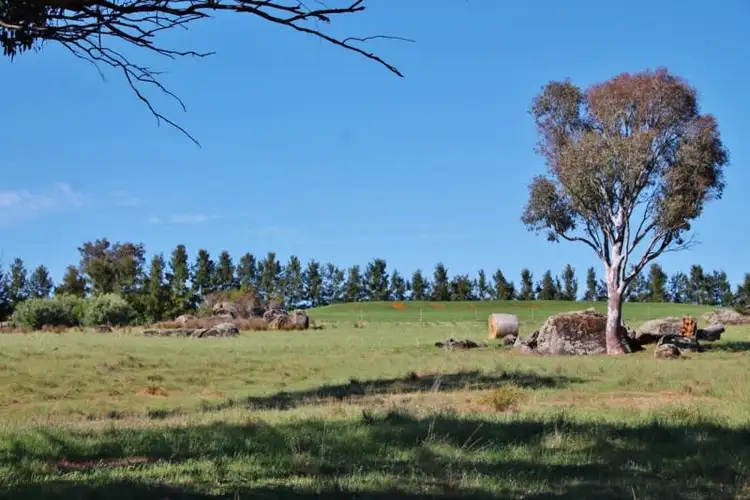 Seventh view of Homely land listing, 48 Curtis Place, Young NSW 2594