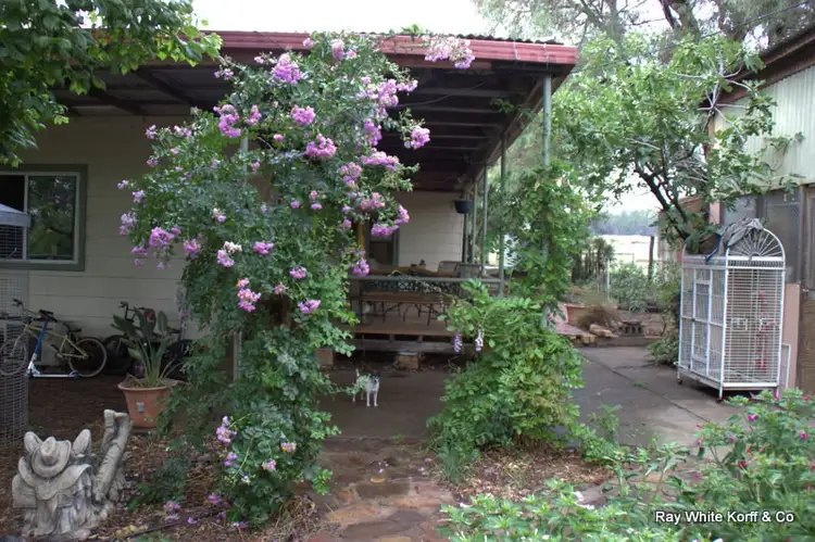 Third view of Homely rural property listing, ."NYINAMA" NEWELL Highway, Coonabarabran NSW 2357