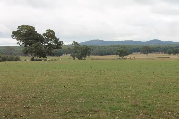 Third view of Homely rural property listing, 29 Walsh's Road, Cavendish VIC 3314