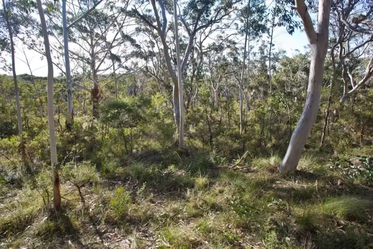 Third view of Homely land listing, Block 13 Lot 1 DP736193 + Lot 166+167 DP16449 - Godson Avenue, Blackheath NSW 2785