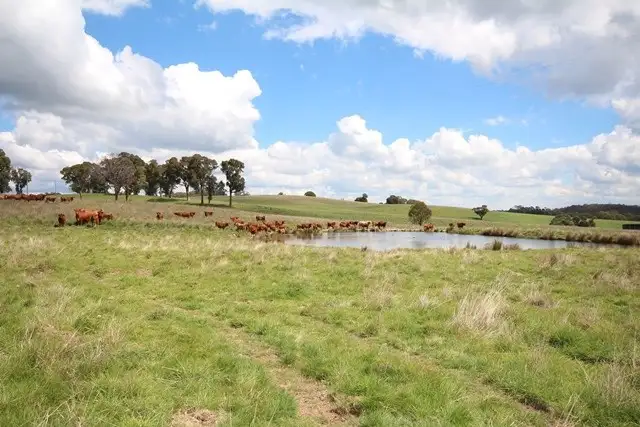 Second view of Homely rural property listing, 519 Nunans Hill Road, Oberon NSW 2787
