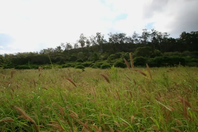 Sixth view of Homely rural property listing, Address available on request