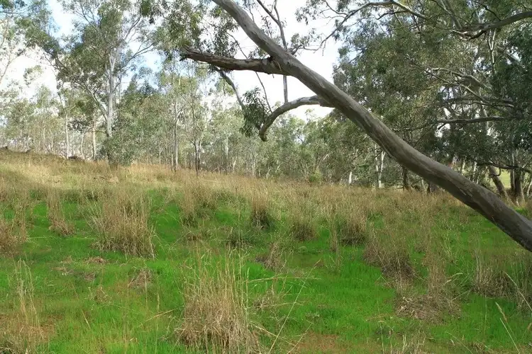 Sixth view of Homely house listing, 655 Spring Flat Road, Heathcote VIC 3523