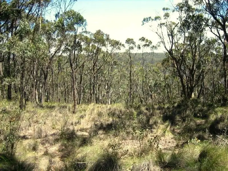 Main view of Homely land listing, 64-66 St Georges Parade, Mount Victoria NSW 2786