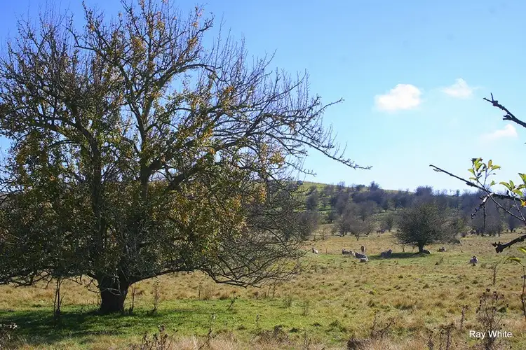 Sixth view of Homely rural property listing, 400 O'Briens Road, Braidwood NSW 2622