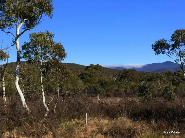 Main view of Homely rural property listing, 34 Farringdon, Braidwood NSW 2622