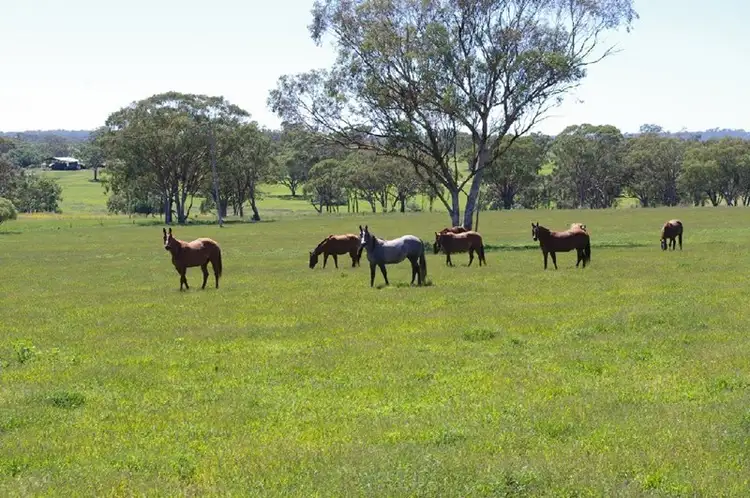 Third view of Homely rural property listing, 'Mytona' 154 Bypass Road, Inverell NSW 2360