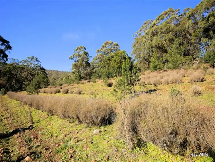 Sixth view of Homely rural property listing, 200 Torpys Lane, Braidwood NSW 2622