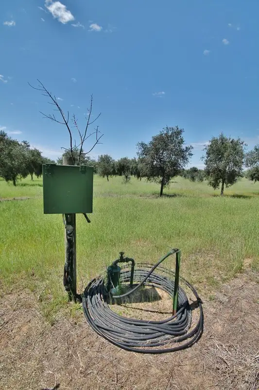 Sixth view of Homely land listing, 927 Monteagle Stock Route East, Monteagle via, Young NSW 2594