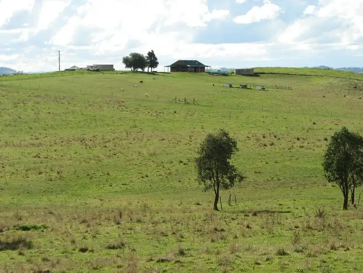 Third view of Homely rural property listing, 134 Kirribilli Road, Canowindra NSW 2804