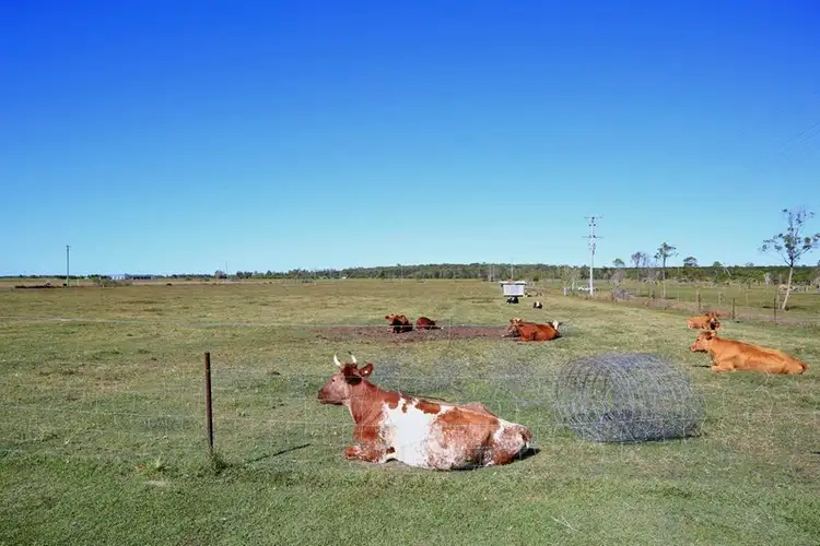 Seventh view of Homely house listing, 64 Fairydale Road, Welcome Creek QLD 4670