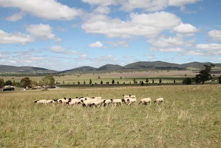 Sixth view of Homely land listing, Lot 238 Deeks Road, Werris Creek NSW 2341