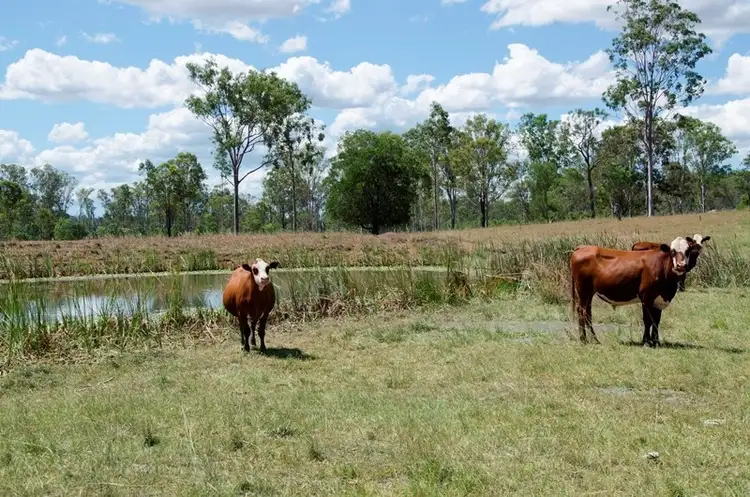 Second view of Homely rural property listing, Lot 1 Muna-Miva Road, Miva QLD 4570