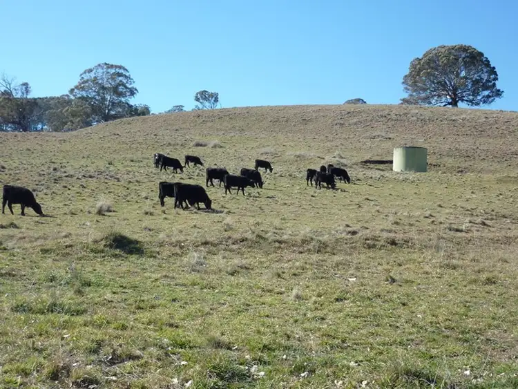 Second view of Homely rural property listing, 504 'Mt Emby' Moredun Road, Ben Lomond NSW 2365