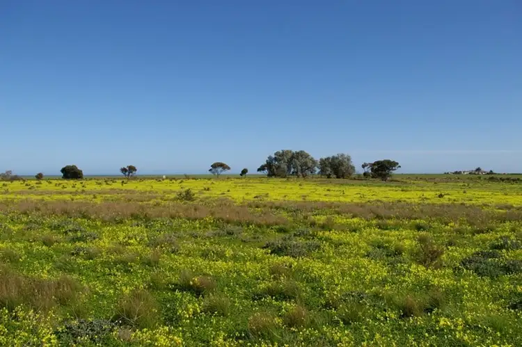 Sixth view of Homely land listing, Section 1455 Spencer Highway, Wallaroo SA 5556