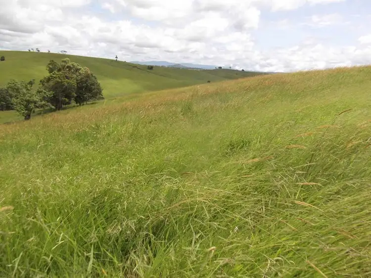 Fifth view of Homely rural property listing, Address available on request