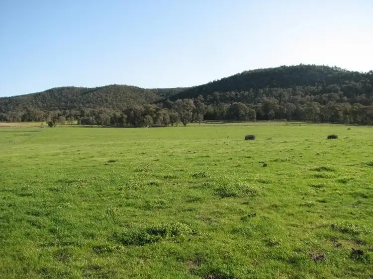 Main view of Homely rural property listing, 121 C Moss Road, Cowra NSW 2794