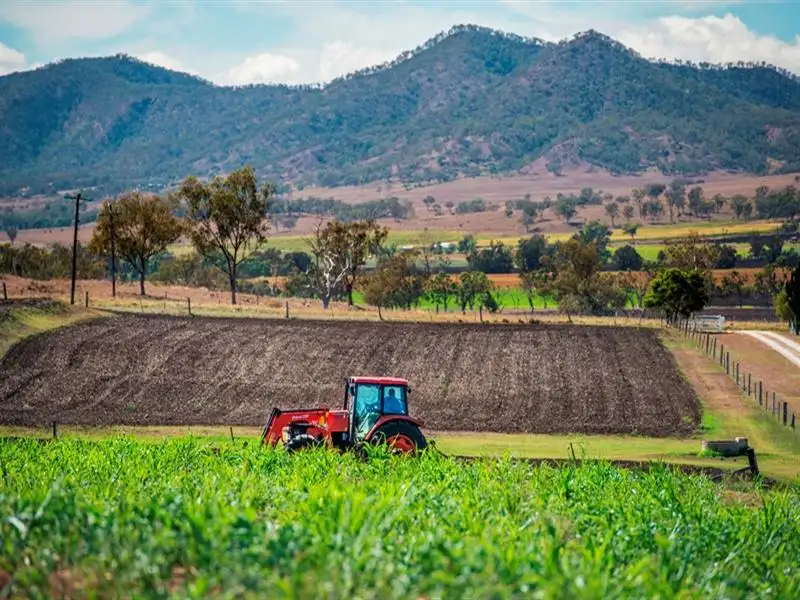 Main view of Homely rural property listing, 157 Forest Springs Goomburra Road, Goomburra QLD 4362