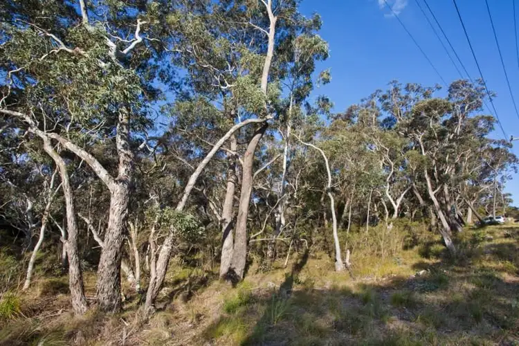 Second view of Homely land listing, Block 5 - Lot 177 and 121 DP 16449 - 32 Godson Avenue, Blackheath NSW 2785