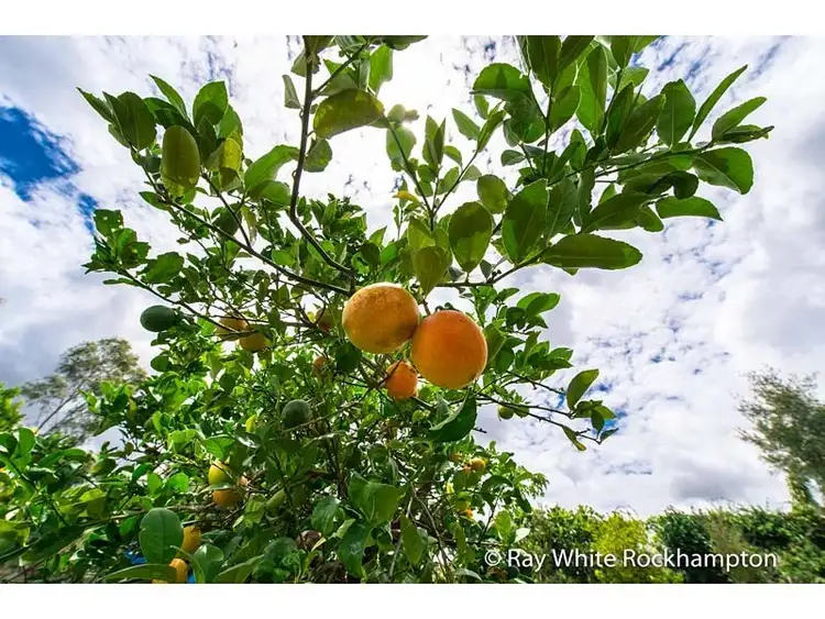 Fifth view of Homely house listing, 9 Trenwith Terrace, Rockyview QLD 4701