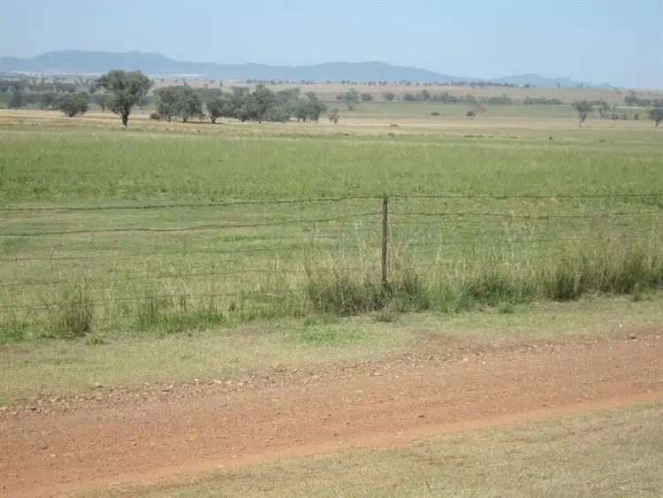 Sixth view of Homely rural property listing, 2583 Manilla Road, Attunga NSW 2345